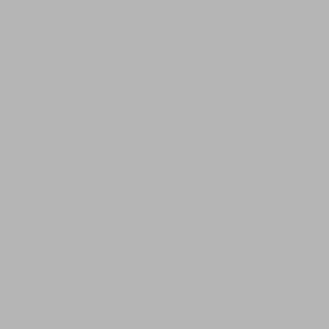 Silver Granite
