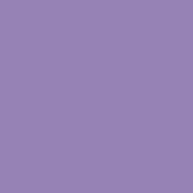 DUSK PURPLE